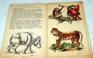 MIGOWA- MIESZKAŃCY DŻUNGLI. OPOWIADANIA DLA DZIECI - 2