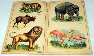 MIGOWA- MIESZKAŃCY DŻUNGLI. OPOWIADANIA DLA DZIECI - 3