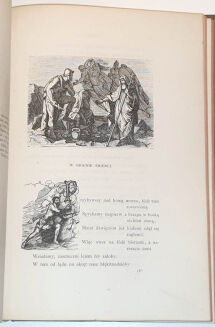HOMER- ODYSSEJA wyd. ilustrowane Kraków 1873 - 12