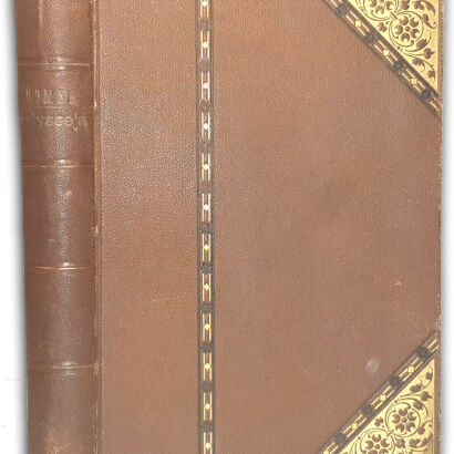 HOMER- ODYSSEJA wyd. ilustrowane Kraków 1873