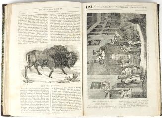 MAGAZYN POWSZECHNY UŻYTECZNYCH WIADOMOŚCI R.3, 1837 - 5