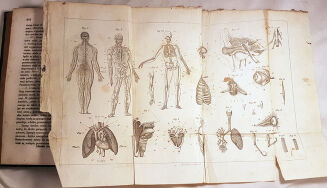 WITOWSKI- HISTORYA NATURALNA t.1-3 wyd. 1849-51 - 5