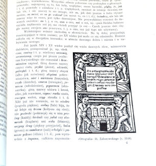 BRUCKNER - DZIEJE JĘZYKA POLSKIEGO stan, futerał - 3