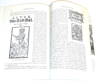 BRUCKNER - DZIEJE JĘZYKA POLSKIEGO stan, futerał - 4