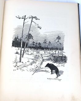 KRZYWOSZEWSKI - Z PRZEŻYĆ I WRAŻEŃ MYŚLIWSKICH wyd. 1927r. z 24 rysunkami MACKIEWICZA - 8