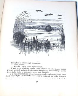 KRZYWOSZEWSKI - Z PRZEŻYĆ I WRAŻEŃ MYŚLIWSKICH wyd. 1927r. z 24 rysunkami MACKIEWICZA - 9