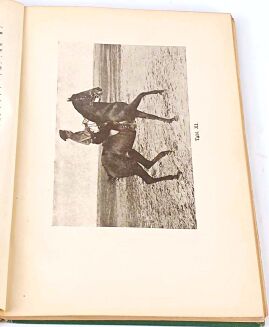 BREZA- O SZTUCE KONNEJ JAZDY I O KONIU W SŁUZBIE SPORTSMENA 20 ilustracji wyd.1926r. - 6