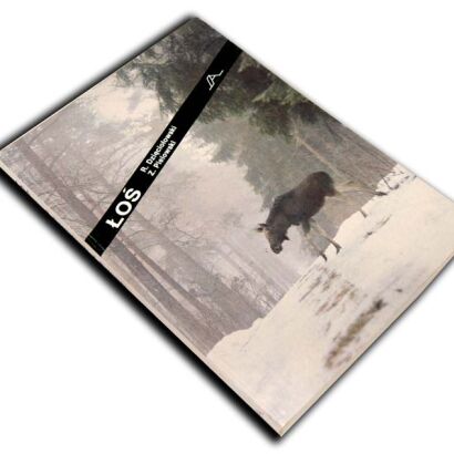 DZIĘCIOŁOWSKI - ŁOŚ ilustracje