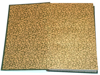 DOMBROWSKI - TRAIN WEIDMANNS PRAKTIKA ZU HOLZ, FELD UND WASSER, EIN LEHRBUCH FÜR ANGEHENDE UND EIN HANDBUCH FÜR GEÜBTE JÄGER UND JAGDFREUNDE wyd. 1894 - 2