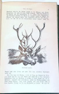 DOMBROWSKI - TRAIN WEIDMANNS PRAKTIKA ZU HOLZ, FELD UND WASSER, EIN LEHRBUCH FÜR ANGEHENDE UND EIN HANDBUCH FÜR GEÜBTE JÄGER UND JAGDFREUNDE wyd. 1894 - 7