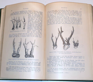 DOMBROWSKI - TRAIN WEIDMANNS PRAKTIKA ZU HOLZ, FELD UND WASSER, EIN LEHRBUCH FÜR ANGEHENDE UND EIN HANDBUCH FÜR GEÜBTE JÄGER UND JAGDFREUNDE wyd. 1894 - 8