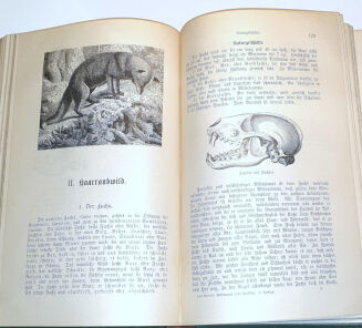 DOMBROWSKI - TRAIN WEIDMANNS PRAKTIKA ZU HOLZ, FELD UND WASSER, EIN LEHRBUCH FÜR ANGEHENDE UND EIN HANDBUCH FÜR GEÜBTE JÄGER UND JAGDFREUNDE wyd. 1894 - 9