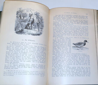 DOMBROWSKI - TRAIN WEIDMANNS PRAKTIKA ZU HOLZ, FELD UND WASSER, EIN LEHRBUCH FÜR ANGEHENDE UND EIN HANDBUCH FÜR GEÜBTE JÄGER UND JAGDFREUNDE wyd. 1894 - 11