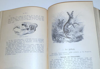 DOMBROWSKI - TRAIN WEIDMANNS PRAKTIKA ZU HOLZ, FELD UND WASSER, EIN LEHRBUCH FÜR ANGEHENDE UND EIN HANDBUCH FÜR GEÜBTE JÄGER UND JAGDFREUNDE wyd. 1894 - 13