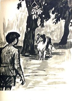 KNIGHT - LASSIE WRÓĆ wyd. 1 - 5