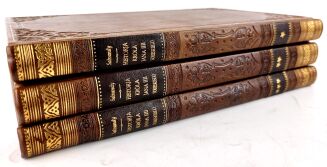 SALVANDY - HISTORJA KRÓLA JANA SOBIESKIEGO I KRÓLESTWA POLSKIEGO t. 1-3 [komplet w 3 wol.] - 3