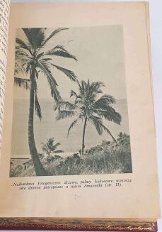 FIEDLER - RYBY ŚPIEWAJĄ W UKAJALI 1933r., wyd.1 - 8