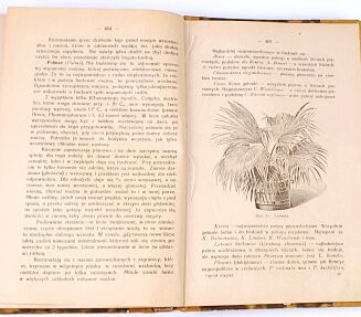 JANKOWSKI- OGRÓD WIEJSKI wyd. 1928r. - 6