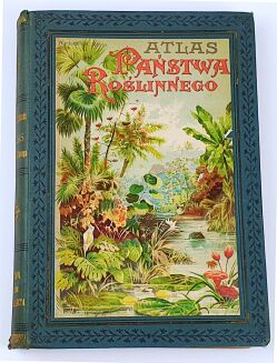 WILKOMM - ATLAS PAŃSTWA ROŚLINNEGO kolorowe tablice, drzeworyty - 3