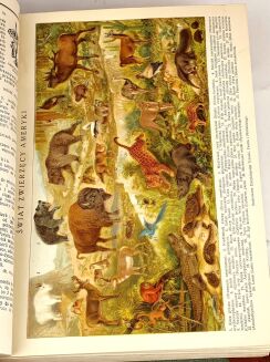 ILUSTROWANA ENCYKLOPEDIA TRZASKI, EVERTA I MICHALSKIEGO t.I-V (komplet) - 5