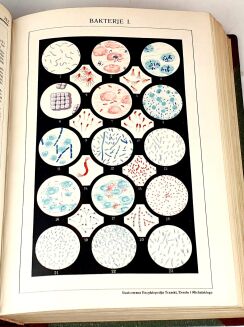 ILUSTROWANA ENCYKLOPEDIA TRZASKI, EVERTA I MICHALSKIEGO t.I-V (komplet) - 6