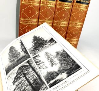 ILUSTROWANA ENCYKLOPEDIA TRZASKI, EVERTA I MICHALSKIEGO t.I-V (komplet) - 7