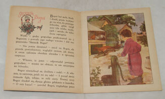 BIRKENMAJER - SWAWOLE WIEJSKIE wyd. przedwojenne STAN Piękne ilustracje - 5