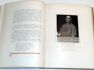 CZERNECKI- MAŁY KRÓL NA RUSI I JEGO STOLICA KRYSTYNOPOL - O Potockich- oprawa wydawnicza - 10