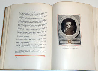 CZERNECKI- MAŁY KRÓL NA RUSI I JEGO STOLICA KRYSTYNOPOL - O Potockich- oprawa wydawnicza - 12