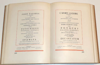 CZERNECKI- MAŁY KRÓL NA RUSI I JEGO STOLICA KRYSTYNOPOL - O Potockich- oprawa wydawnicza - 13