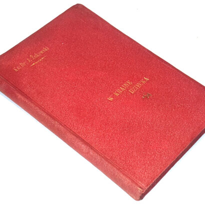 ŻUKOWSKI- W KRAINĘ DZIECKA wyd. II