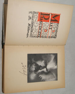 Nittman - PIŁSUDSKI - MAŁY PIŁSUDCZYK - OPRAWA WYDAWNICZA ilustracje  - 3