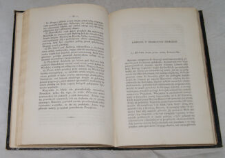 DĄBROWSKI - KRYTYCZNY RYS WOJNY 1866 ROKU W NIEMCZECH I WE WŁOSZECH wyd.1868r.  - 3