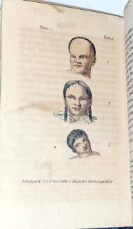VIREY - HISTORYA NATURALNA RODU LUDZKIEGO t.1-4 (komplet w 4 wol.) ręcznie kolorowane litografie wyd. 1843 - 7