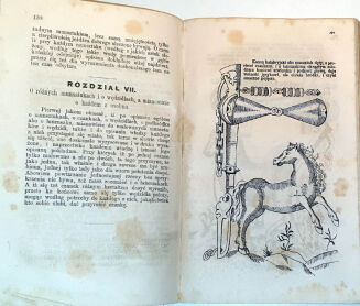 DOROHOSTAJSKI- HIPPIKA TO JEST KSIĘGA O KONIACH wyd. 1861r. RYCINY - 3