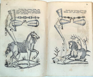 DOROHOSTAJSKI- HIPPIKA TO JEST KSIĘGA O KONIACH wyd. 1861r. RYCINY - 4