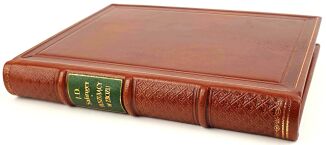 SALINGER - BUSZUJĄCY W ZBOŻU wyd.1 - 2