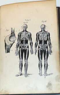 ROSENTHAL - CZŁOWIEK W STANIE ZDROWIA I CHOROBY DR. BOCKA wyd. 1873  ryciny - 3