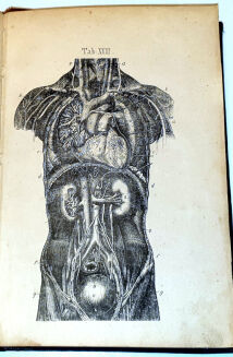 ROSENTHAL - CZŁOWIEK W STANIE ZDROWIA I CHOROBY DR. BOCKA wyd. 1873  ryciny - 7