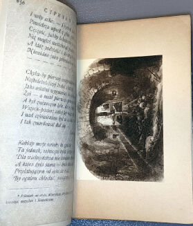 NORWID - PISMA ZEBRANE Wyd. Zenon Przesmycki. T.A cz.1-2, C, E.F [wol.1-5, komplet] - 11