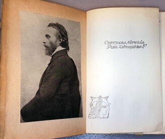 NORWID - PISMA ZEBRANE Wyd. Zenon Przesmycki. T.A cz.1-2, C, E.F [wol.1-5, komplet] - 13