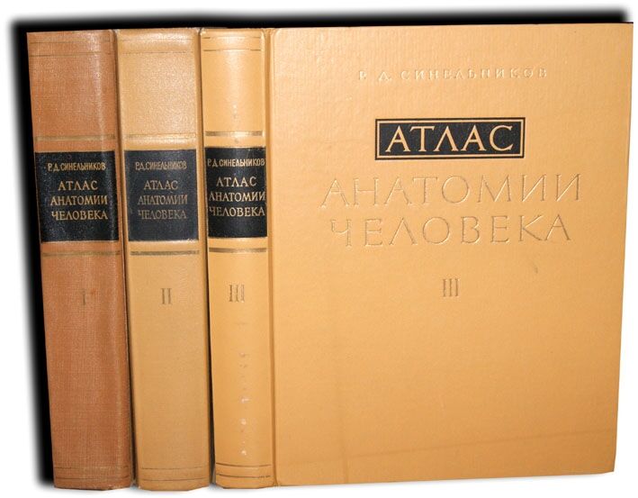 SINELNIKOV- ATLAS ANATOMII CZŁOWIEKA t. I-III [komplet]