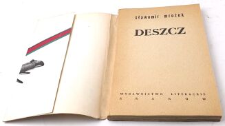 MROŻEK- DESZCZ wyd.1 ilustracje Daniel Mróz - 7