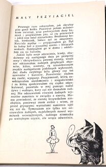 MROŻEK- DESZCZ wyd.1 ilustracje Daniel Mróz - 5