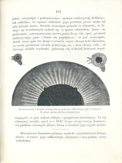 BAYER- ASTRONOMIA POPULARNA wyd. 1861 - 4