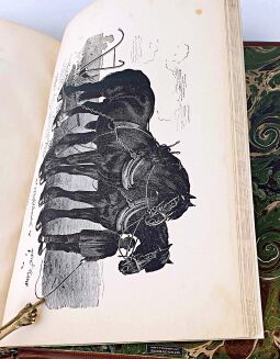 BARAŃSKI - CHÓW KONI POPRZEDZONY WYKŁADEM OGÓLNYCH ZASAD HODOWLI GOSPODARSKICH. Z 21 rycinami najcelniejszych ras koni mianowicie krajowych przez Juliusza Kossaka - 10