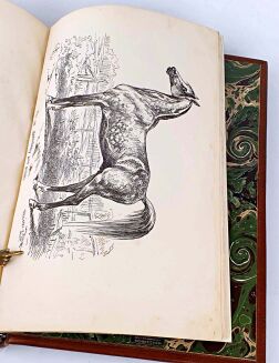 BARAŃSKI - CHÓW KONI POPRZEDZONY WYKŁADEM OGÓLNYCH ZASAD HODOWLI GOSPODARSKICH. Z 21 rycinami najcelniejszych ras koni mianowicie krajowych przez Juliusza Kossaka - 11