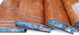 SAPKOWSKI - THE WITCHER complete series leather binging - 6