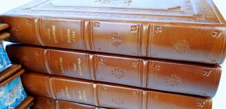 SAPKOWSKI - THE WITCHER complete series leather binging - 12