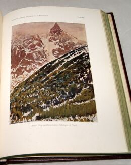 KOPERA- DZIEJE MALARSTWA W POLSCE [komplet] wyd.1929r. - 13